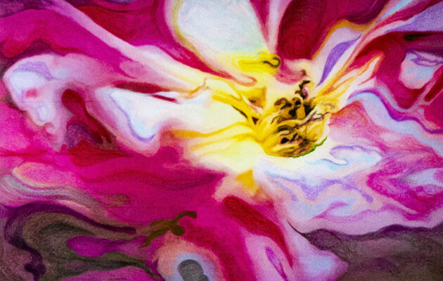 img 0870 nr 26 flower power 2 les pouvoir des fleurs gemengde techniek op papier 29x195 cm 2020 630x400 img 0870 nr 26 flower power 2 les pouvoir des fleurs gemengde techniek op papier 29x195 cm 2020 630x400