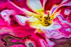 natuur le pouvoir des fleurs 2 600x395.jpg