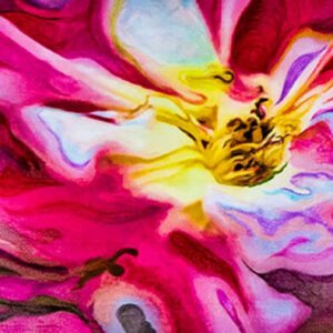 natuur le pouvoir des fleurs 2 600x395.jpg