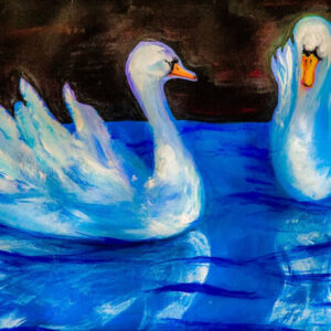 natuur les cygnes 600x419.jpg