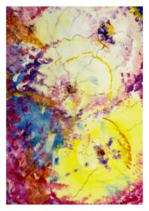 natuur les moisissures the molds