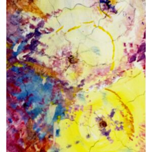 natuur les moisissures the molds