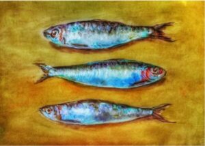 natuur sardines 600x428.jpg