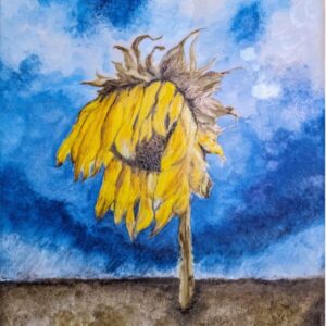 natuur sunflower 600x823.jpg