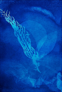 natuur trouvailles 400x592