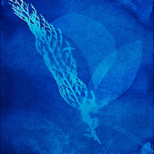 natuur trouvailles 400x592